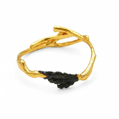 Mother Nature Jewelry Women's Gold / Black Two-tone Branch Ring, Handmade Minimalist Jewelry, Gold With Black Rhodium - Na In Multi