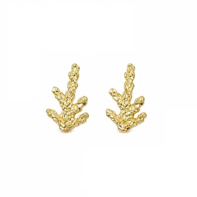 Mother Nature Jewelry Women's Minimalist Juniper Studs, Handmade Gold Branch Earrings - Nature Jewelry, Sterling Silver