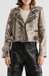Mother The Chopper Snakeskin Embossed Faux Leather Moto Jacket In Black