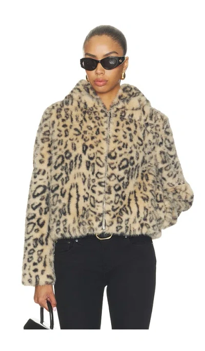 Mother The Hooded Polar Opposite In Spotted Counter Culture