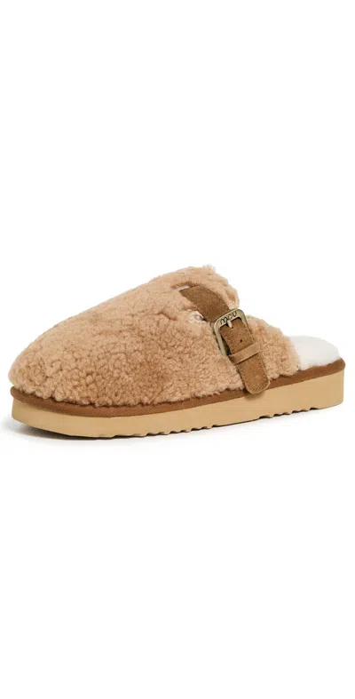 Mou Curly  Slippers Cognac In Brown