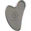 Mount Lai The Stainless Steel Gua Sha Tool In Transparent