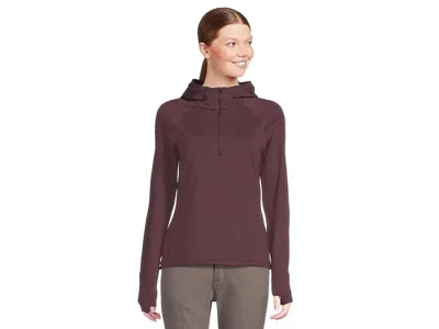 Mountain Hardwear Crater Laketm Heavyweight Half Zip Hoody In Multi