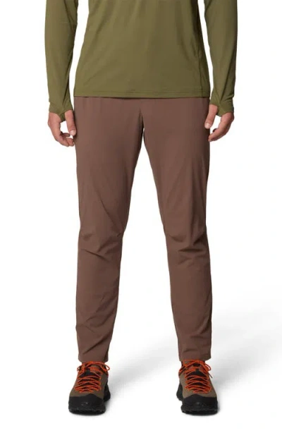 Mountain Hardwear Dynama Pants In Brown