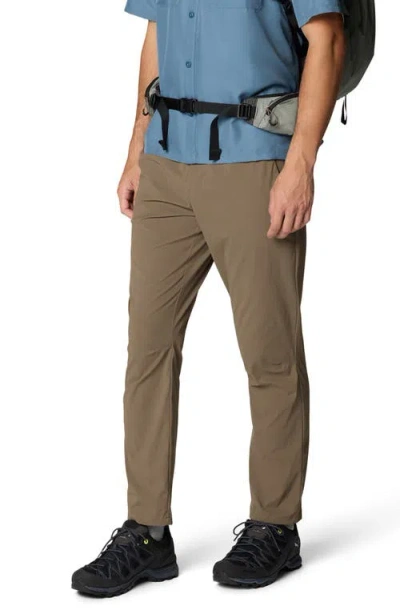 Mountain Hardwear Dynama Pants In Brown