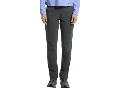 Mountain Hardwear Dynamatm Pant In Gray
