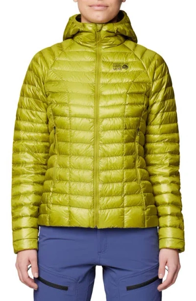 Mountain Hardwear Ghost Whisperer Hoodie In Green