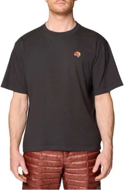 Mountain Hardwear Mhw Tri-color Graphic T-shirt In Brown