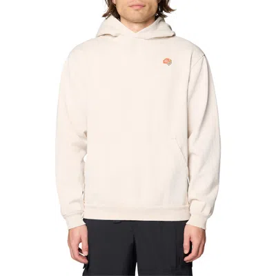 Mountain Hardwear Tricolor Logo Graphic Hoodie In Multi