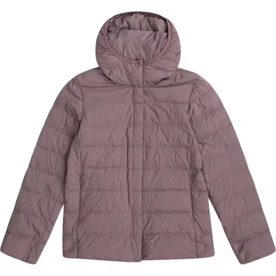 Mountain Warehouse Lightweight Packable Jacket In Purple