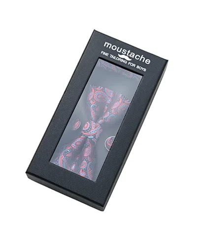 Moustache Kids'  Blue And Red Paisley Bowtie Set In Multi