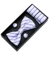 Moustache Purple Striped Bowtie Set