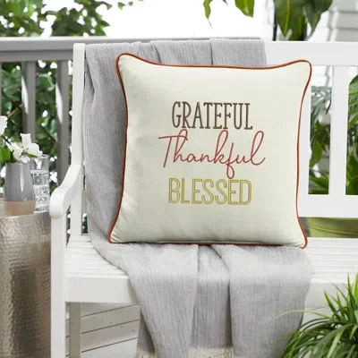 Mozaic Company Grateful Thankful Blessed Outdoor Square Sunbrella Pillow Cover & Insert