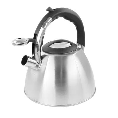 Mr Coffee 3 Quart Stainless Steel Whistling Tea Kettle In Gray