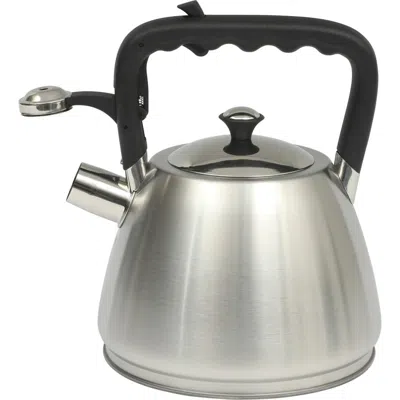 Mr Coffee Mr. Coffee Armidale 2.5 Qt Stainless Steel Whistling Tea Kettle In Gray