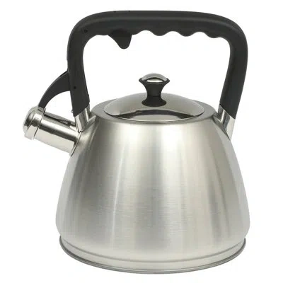 Mr Coffee Armidale Large 2.5qt Brushed Stainless Steel Whistling Tea Kettle