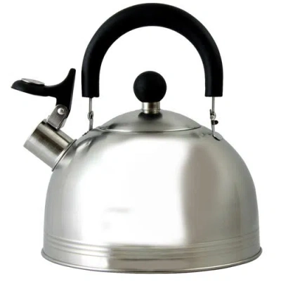 Mr Coffee Carterton 1.5 Qt Stainless Steel Whistling Tea Kettle In Silver