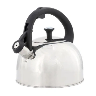 Mr Coffee Mr. Coffee Daneswell 2.1 Quart Stainless Steel Whistling Tea Kettle In Silver
