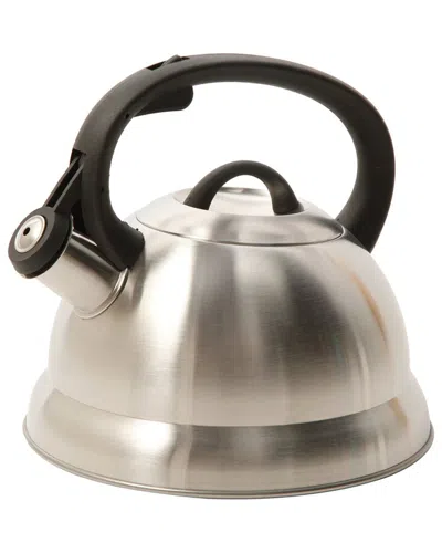 Mr Coffee Mr. Coffee Flintshire 1.75qt Stainless Steel Whistling Tea Kettle In Silver