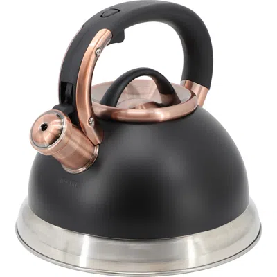 Mr Coffee Mr. Coffee Flintshire 2.2 Quart Stainless Steel Whistling Tea Kettle In Black