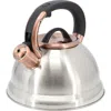 Mr Coffee Mr. Coffee Flintshire 2.2 Quart Stainless Steel Whistling Tea Kettle In Silver