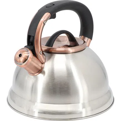 MR COFFEE MR. COFFEE FLINTSHIRE 2.2 QUART STAINLESS STEEL WHISTLING TEA KETTLE
