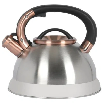 Mr Coffee Mr. Coffee Flintshire 2.2 Quart Stainless Steel Whistling Tea Kettle W/ Nylon Handle In Silver