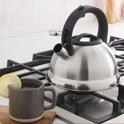 Mr Coffee Hartbay 2.4 Quart Large Stainless Steel Whistling Tea Kettle