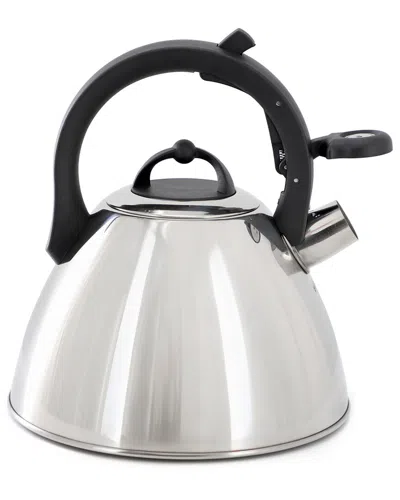 Mr Coffee Mr. Coffee Starsbury 2.1qt Stainless Steel Whistling Tea Kettle In Silver