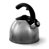 Mr Coffee Steamline 2 Quart Tea Kettle In Gray