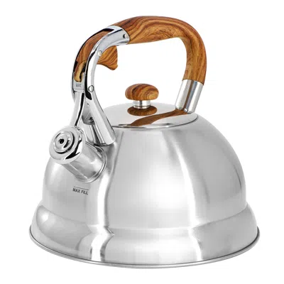 Mr Coffee Woodmont 2 Quart Stainless Steel Stovetop Whistling Tea Kettle In Silver