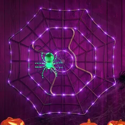 Mr. Halloween Outdoor Animated Spider Web - Purple Web In Green;purple
