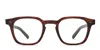 Mr Leight Adonis C Brown/tortoise In Brown,tortoise