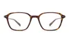 Mr Leight Gideon C Tortoise In Tortoise