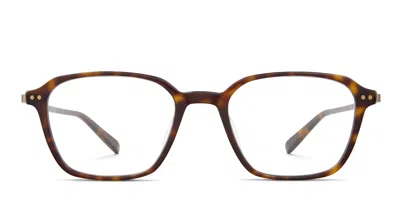Mr Leight Gideon C Tortoise