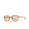 Mr Leight Mr. Leight Price S Pure Maple Navigator Unisex Sunglasses Ml4026 Mlpt-atg/pmp 49 In Brown