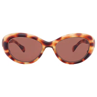 Mr Leight Selma S Molasses Cat Eye Ladies Sunglasses Ml2023 Blont/mo 50 In Pink