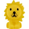 Mr Maria Lion Mini Bundle Of Light Toy