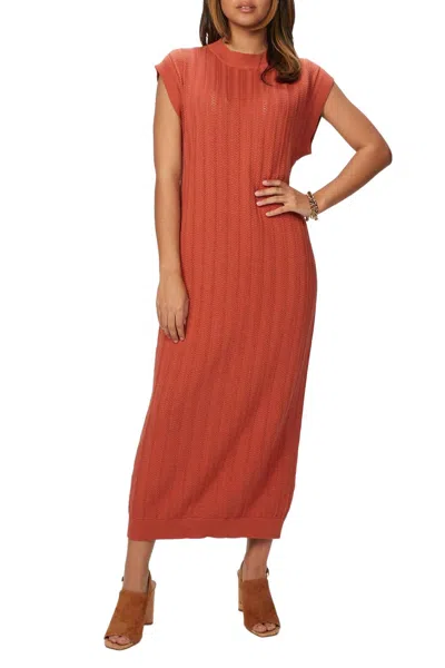 Mr Mittens Sleeveless Lace Dress In Apricot Brandy In Brown