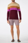 Mr Turk Romero Slim Fit Color Block Crewneck Sweater