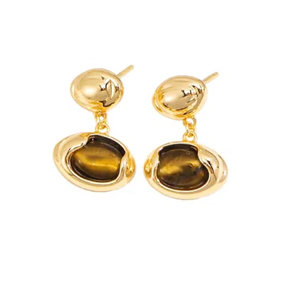 Ms. Donna Women's Brown Delicacy Tiger Eye Stone Gold Plated Sterling Silver Earrings