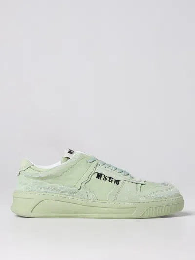 Msgm Trainers  Men Colour Green