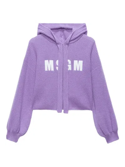 Msgm Balloon-sleeve Hoodie In Purple