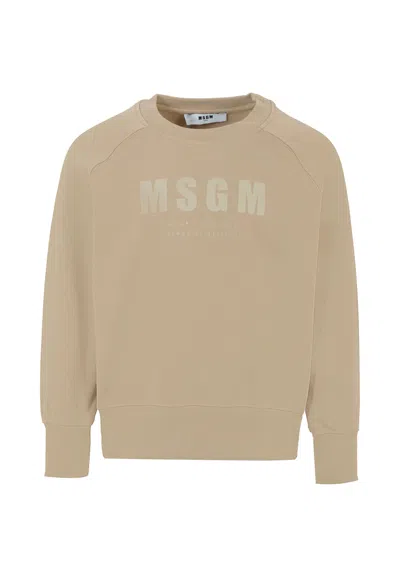 Msgm Beige Sweatshirt For Kids With Logo In Brown