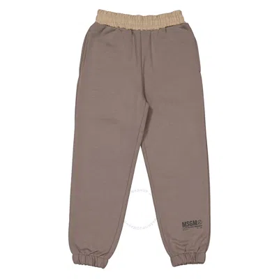Msgm Kids'  Boys Logo Print Cotton Track Pants In Brown