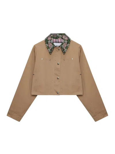 Msgm Brown Cropped Jacket In Cotton In Sand