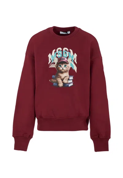 MSGM BURGUNDY SWEATSHIRT FOR GIRL WITH CAT