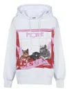 Msgm Cat-print Cotton Hoodie In White