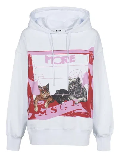 MSGM CAT-PRINT COTTON HOODIE