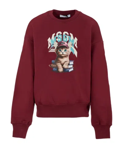 Msgm Cat-print Crew-neck Sweatshirt In Burgundy